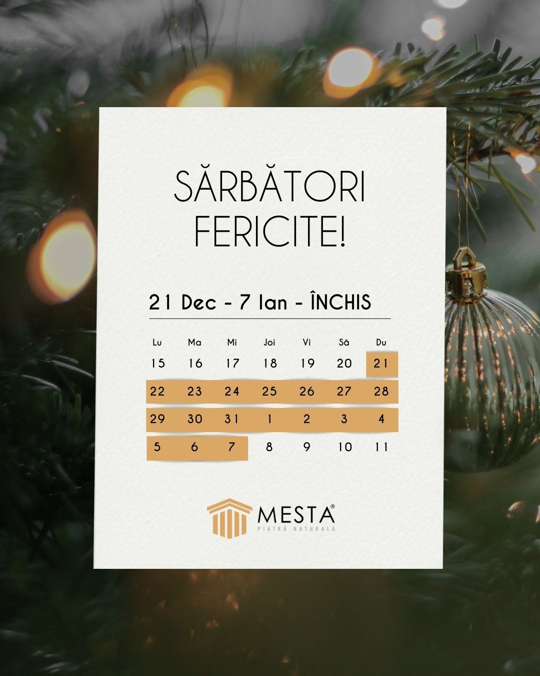 🎄 Program sărbători de iarnă 🎄
În perioada 21 decembrie – 07 ianuarie, vom lua o scurtă pauză cu ocazia sărbătorilor de iarnă.
Ne reîntoarcem la activitate începând cu 08 ianuarie, cu energie nouă și aceeași atenție pentru fiecare proiect.
*Solicitările și comenzile primite în această perioadă vor fi preluate și procesate imediat după revenire.
Vă mulțumim pentru încredere și vă dorim sărbători liniștite și frumoase, alături de cei dragi! ✨
