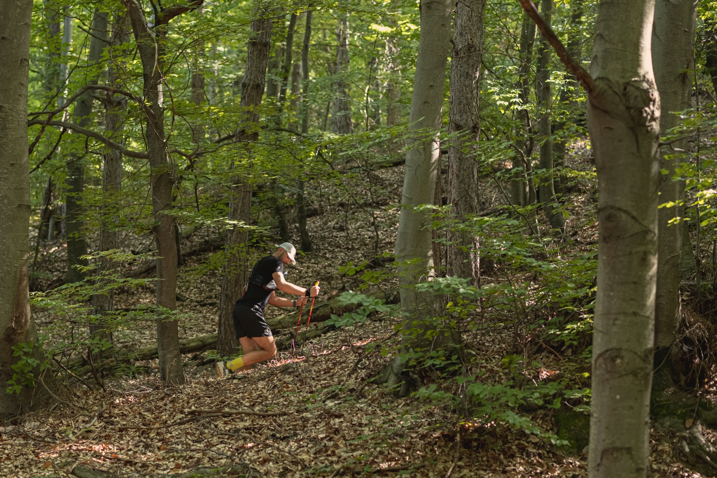 Există urcări… și există Panta lui Cosmin 😅
Când vezi semnul… pare ok.
1.32 km, 360+ diferență de nivel.
Apoi începi urcarea.
Și îți dai seama că Panta lui Cosmin nu e doar o pantă.
E un test de caracter. 💪🏼
Și da… toată lumea se întreabă același lucru:
“Cine l-a lăsat pe Cosmin să aleagă panta asta?” 🤣
Pe aici, la ZUT, alergarea se transformă rapid în:
🚶 power hiking
🧗 puțin alpinism
Dar partea frumoasă e că toți ajung sus.
Mai încet, mai repede… dar cu un zâmbet mare la final.
🔥 Vrei să o încerci și tu?
📍 Ne vedem la start la ZUT 2026 powered by @egointeriors.ro
🌐 Detalii & înscrieri: www.zut.run
📆 10-11-12 iulie 2026
👉 Tag prietenul care te-ar împinge pe ultimii metri ai pantei.
_________________
There are climbs… and then there’s... Panta lui Cosmin 😅
When you see the sign… it doesn’t look that bad.
1.32 km, 360+ meters of elevation gain.
Then you start the climb.
And you realize that Panta lui Cosmin isn’t just a climb.
It’s a test of character. 💪🏼
And yes… everyone asks the same question:
“Who let Cosmin choose this climb?” 🤣
Here at ZUT, running quickly turns into:
🚶 power hiking
🧗 a bit of mountaineering
But the beautiful part is that everyone reaches the top.
Slower or faster… but with a big smile at the end.
🔥 Want to try it yourself?
📍 See you at the start of ZUT 2026 powered by @egointeriors.ro
🌐 Details & registration: www.zut.run
📆 July 10–11–12, 2026
👉 Tag the friend who would push you through the last meters of the climb.