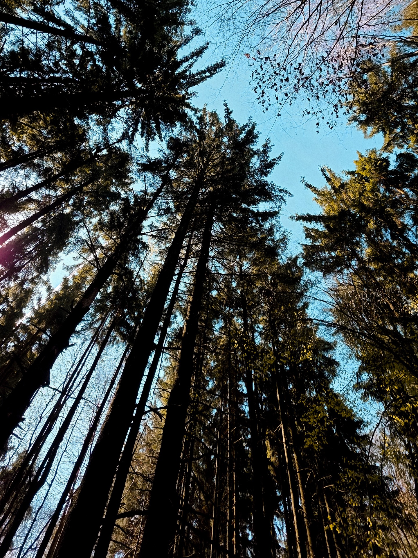 Recunoaștere ZUT: Bifat! ✅
Swipe pentru a vedea o mică parte din distracția de azi! 🏃♂️🏃♀️
3 trasee, zeci de kilometri și o doză maximă de endorfine. Pădurea ne-a primit cu soare, iar picioarele au simțit din plin fiecare diferență de nivel. 📈 Ne-am reamintit și de ce iubim acest sport: pentru momentele în care ești doar tu, poteca și muntele (plus o gașcă veselă de alergători!).
Pregătirile continuă 🦾
Nu uita că doar înscrierea îți asigură un loc la linia de start de la ZUT 2026 powered by EGOinteriors!
🌐 Detalii & înscrieri: www.zut.run
📆 10-12 iulie 2026
Tu la ce cursă te-ai înscris anul acesta? Scrie-ne în comentarii! 👇
____________________
ZUT Recon: Check! ✅
Swipe for a glimpse of today’s fun! 🏃♂️🏃♀️
3 routes, dozens of kilometers, and a massive dose of endorphins. The forest welcomed us with sunshine, and our legs definitely felt every bit of the elevation gain. 📈 It was a great reminder of why we love this sport: for those moments when it’s just you, the trail, and the mountain (plus a cheerful crew of runners!).
The preparations continue 🦾
Don’t forget that only registration secures your spot at the starting line of ZUT 2026 powered by EGOinteriors!
🌐 Details & Registration: www.zut.run
📆 July 10-12, 2026
Which race are you signed up for this year? Let us know in the comments! 👇