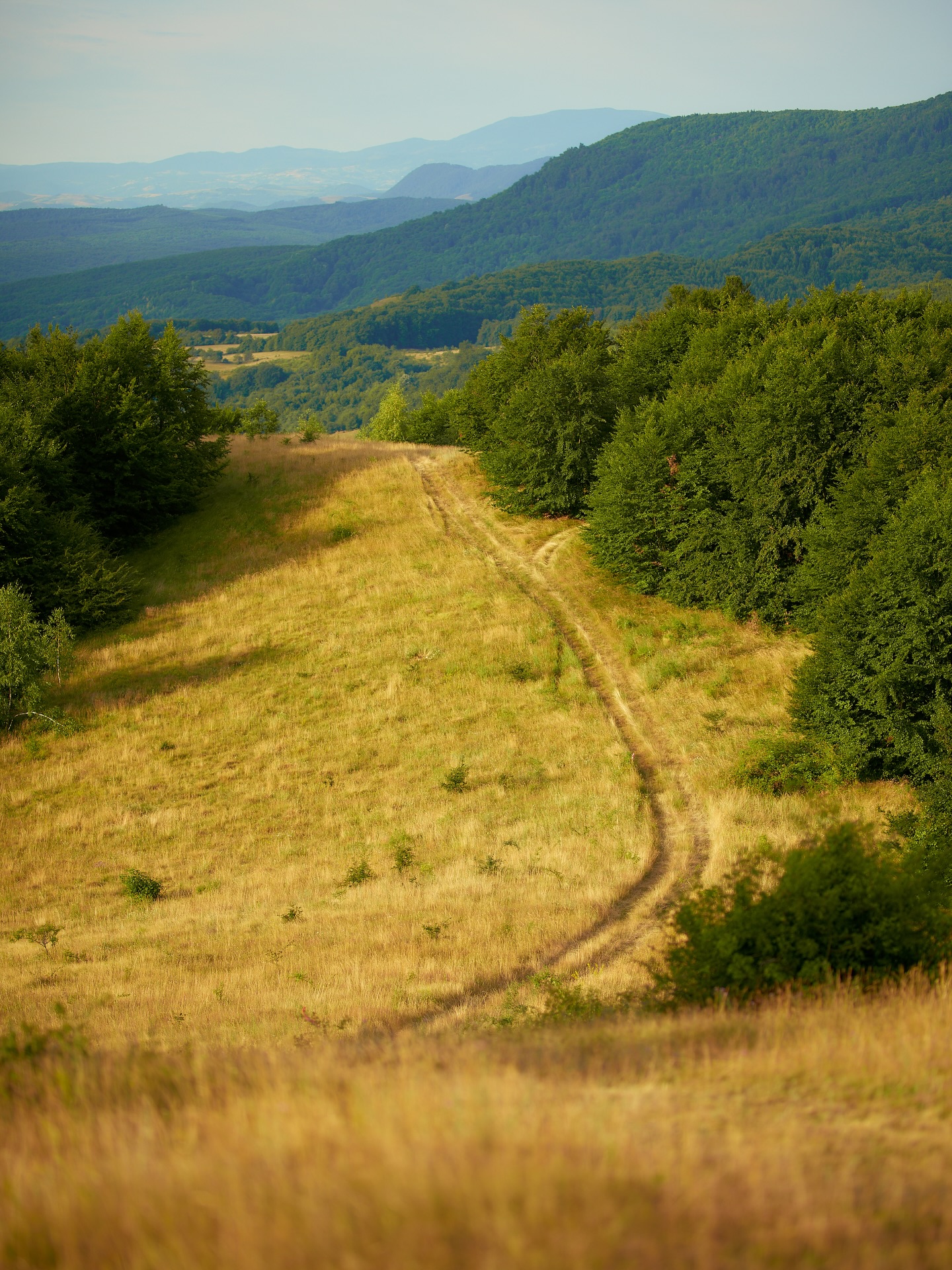 De ce alergătorii iubesc ZUT? ✨
Dincolo de kilometri și diferență de nivel, e vorba despre locurile acestea care îți taie respirația și despre momentele în care te oprești doar ca să faci o poză. Sălajul are peisaje mai pitorești și poteci mai surprinzătoare decât ar părea.
E vorba despre comunitate, despre traseele care combină pădurea cu pante solicitante și peisaje care își odihnesc ochii și sufletul. Despre zâmbetul pe care îl ai când până și echipele foto video te încurajează, despre satisfacția de a cuceri Meseșul împreună.
Zalău Ultra Trail îți oferă totul: păduri superbe, panorame epice și o organizare de nota 10. Lasă-te inspirat de imaginile de anul trecut și vino să îți scrii propria poveste.
Înscrie-te ca să fii sigur că faci parte din vibe-ul ZUT powered by EGOinteriors anul acesta!
🌐 Detalii & înscrieri: www.zut.run
📆 10-12 iulie 2026
Why do runners love ZUT? ✨
Beyond the miles and the elevation gain, it’s about those breathtaking spots and the moments where you just have to stop for a photo. Sălaj holds more picturesque landscapes and surprising trails than meets the eye.
It’s about community; about routes that blend deep forests with demanding climbs and scenery that rests both your eyes and your soul. It’s about that smile you get when even the photo and video crews are cheering you on, and the shared satisfaction of conquering the Meseș Mountains together.
Zalău Ultra Trail offers it all: stunning forests, epic panoramas, and top-tier organization. Let last year’s memories inspire you—come and write your own story.
Register now to ensure your spot in the ZUT powered by EGOinteriors vibe this year! 🏁
🌐 Details & registration: www.zut.run