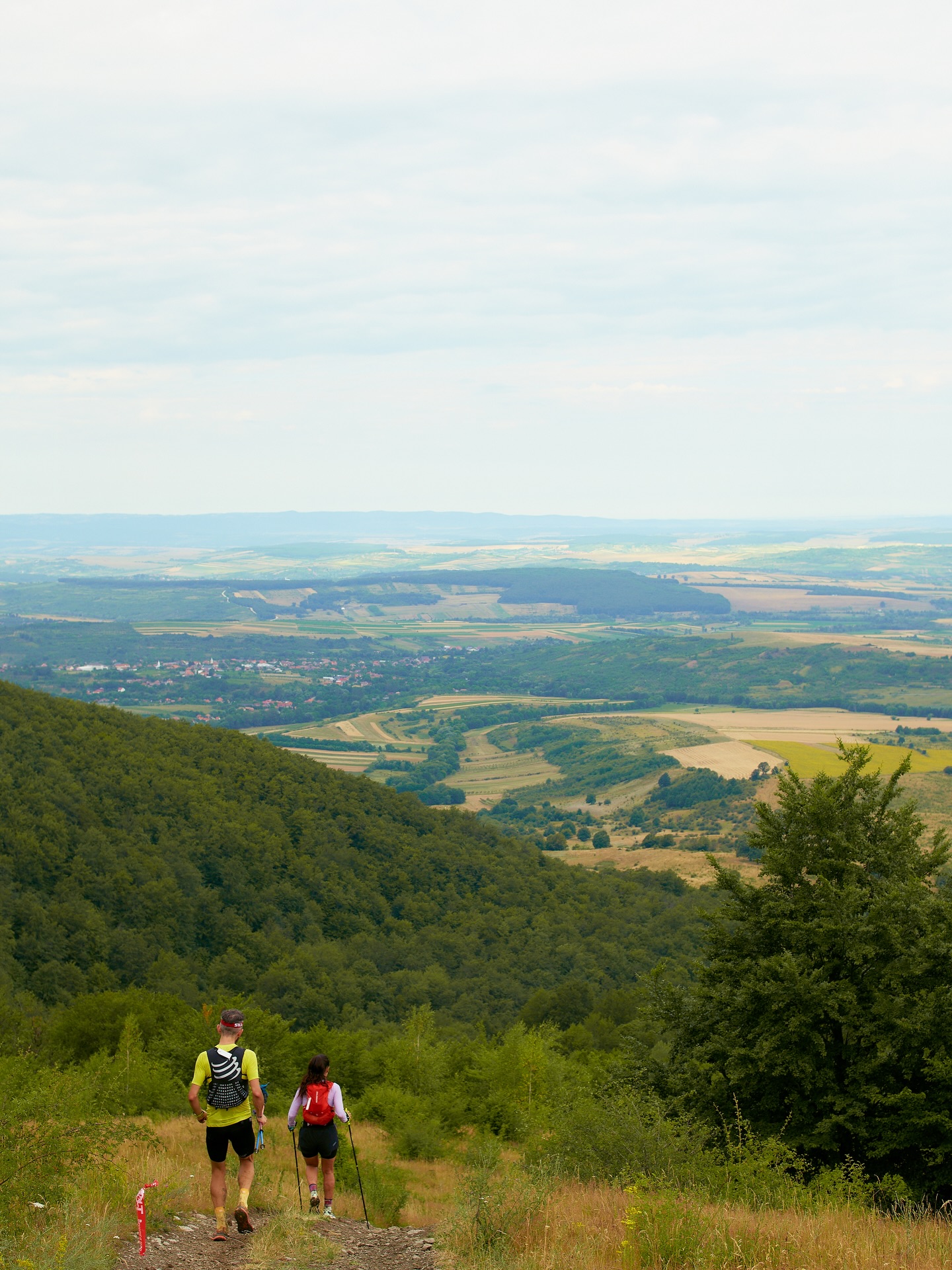 De ce alergătorii iubesc ZUT? ✨
Dincolo de kilometri și diferență de nivel, e vorba despre locurile acestea care îți taie respirația și despre momentele în care te oprești doar ca să faci o poză. Sălajul are peisaje mai pitorești și poteci mai surprinzătoare decât ar părea.
E vorba despre comunitate, despre traseele care combină pădurea cu pante solicitante și peisaje care își odihnesc ochii și sufletul. Despre zâmbetul pe care îl ai când până și echipele foto video te încurajează, despre satisfacția de a cuceri Meseșul împreună.
Zalău Ultra Trail îți oferă totul: păduri superbe, panorame epice și o organizare de nota 10. Lasă-te inspirat de imaginile de anul trecut și vino să îți scrii propria poveste.
Înscrie-te ca să fii sigur că faci parte din vibe-ul ZUT powered by EGOinteriors anul acesta!
🌐 Detalii & înscrieri: www.zut.run
📆 10-12 iulie 2026
Why do runners love ZUT? ✨
Beyond the miles and the elevation gain, it’s about those breathtaking spots and the moments where you just have to stop for a photo. Sălaj holds more picturesque landscapes and surprising trails than meets the eye.
It’s about community; about routes that blend deep forests with demanding climbs and scenery that rests both your eyes and your soul. It’s about that smile you get when even the photo and video crews are cheering you on, and the shared satisfaction of conquering the Meseș Mountains together.
Zalău Ultra Trail offers it all: stunning forests, epic panoramas, and top-tier organization. Let last year’s memories inspire you—come and write your own story.
Register now to ensure your spot in the ZUT powered by EGOinteriors vibe this year! 🏁
🌐 Details & registration: www.zut.run