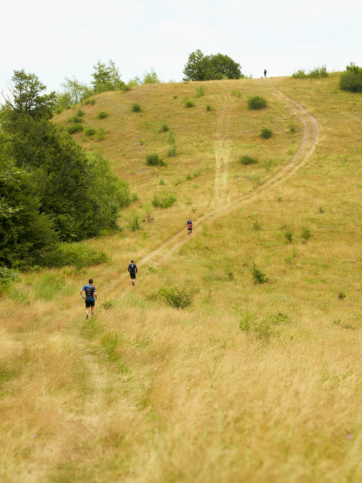De ce alergătorii iubesc ZUT? ✨
Dincolo de kilometri și diferență de nivel, e vorba despre locurile acestea care îți taie respirația și despre momentele în care te oprești doar ca să faci o poză. Sălajul are peisaje mai pitorești și poteci mai surprinzătoare decât ar părea.
E vorba despre comunitate, despre traseele care combină pădurea cu pante solicitante și peisaje care își odihnesc ochii și sufletul. Despre zâmbetul pe care îl ai când până și echipele foto video te încurajează, despre satisfacția de a cuceri Meseșul împreună.
Zalău Ultra Trail îți oferă totul: păduri superbe, panorame epice și o organizare de nota 10. Lasă-te inspirat de imaginile de anul trecut și vino să îți scrii propria poveste.
Înscrie-te ca să fii sigur că faci parte din vibe-ul ZUT powered by EGOinteriors anul acesta!
🌐 Detalii & înscrieri: www.zut.run
📆 10-12 iulie 2026
Why do runners love ZUT? ✨
Beyond the miles and the elevation gain, it’s about those breathtaking spots and the moments where you just have to stop for a photo. Sălaj holds more picturesque landscapes and surprising trails than meets the eye.
It’s about community; about routes that blend deep forests with demanding climbs and scenery that rests both your eyes and your soul. It’s about that smile you get when even the photo and video crews are cheering you on, and the shared satisfaction of conquering the Meseș Mountains together.
Zalău Ultra Trail offers it all: stunning forests, epic panoramas, and top-tier organization. Let last year’s memories inspire you—come and write your own story.
Register now to ensure your spot in the ZUT powered by EGOinteriors vibe this year! 🏁
🌐 Details & registration: www.zut.run