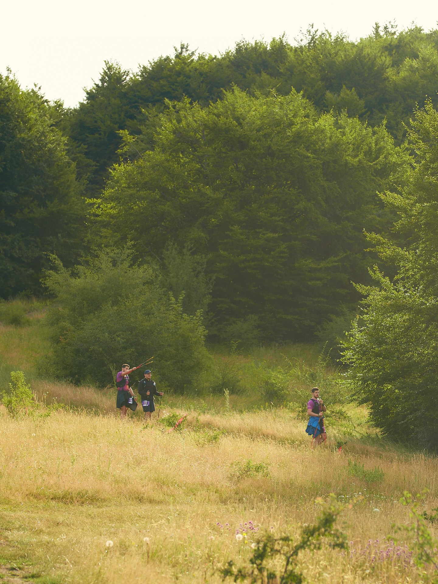 De ce alergătorii iubesc ZUT? ✨
Dincolo de kilometri și diferență de nivel, e vorba despre locurile acestea care îți taie respirația și despre momentele în care te oprești doar ca să faci o poză. Sălajul are peisaje mai pitorești și poteci mai surprinzătoare decât ar părea.
E vorba despre comunitate, despre traseele care combină pădurea cu pante solicitante și peisaje care își odihnesc ochii și sufletul. Despre zâmbetul pe care îl ai când până și echipele foto video te încurajează, despre satisfacția de a cuceri Meseșul împreună.
Zalău Ultra Trail îți oferă totul: păduri superbe, panorame epice și o organizare de nota 10. Lasă-te inspirat de imaginile de anul trecut și vino să îți scrii propria poveste.
Înscrie-te ca să fii sigur că faci parte din vibe-ul ZUT powered by EGOinteriors anul acesta!
🌐 Detalii & înscrieri: www.zut.run
📆 10-12 iulie 2026
Why do runners love ZUT? ✨
Beyond the miles and the elevation gain, it’s about those breathtaking spots and the moments where you just have to stop for a photo. Sălaj holds more picturesque landscapes and surprising trails than meets the eye.
It’s about community; about routes that blend deep forests with demanding climbs and scenery that rests both your eyes and your soul. It’s about that smile you get when even the photo and video crews are cheering you on, and the shared satisfaction of conquering the Meseș Mountains together.
Zalău Ultra Trail offers it all: stunning forests, epic panoramas, and top-tier organization. Let last year’s memories inspire you—come and write your own story.
Register now to ensure your spot in the ZUT powered by EGOinteriors vibe this year! 🏁
🌐 Details & registration: www.zut.run
